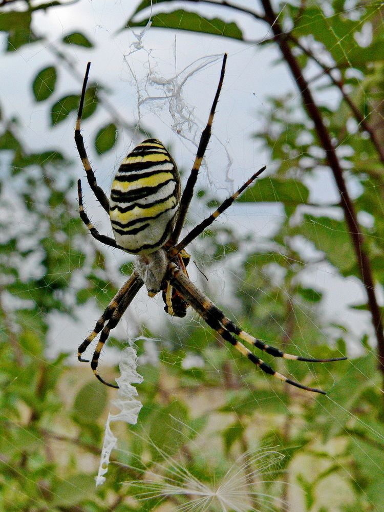 Фотография автора Александр Челмодеев