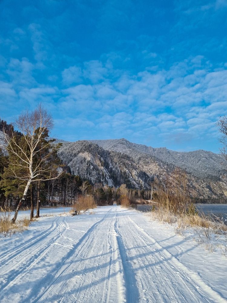 Зимняя прогулка