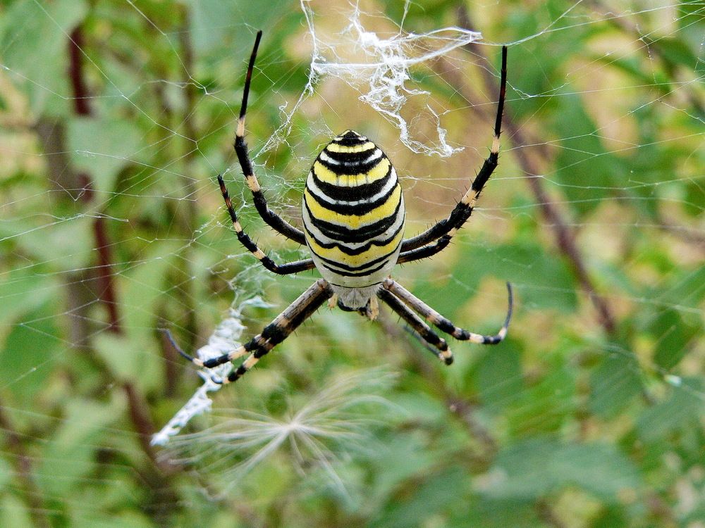 Фотография автора Александр Челмодеев