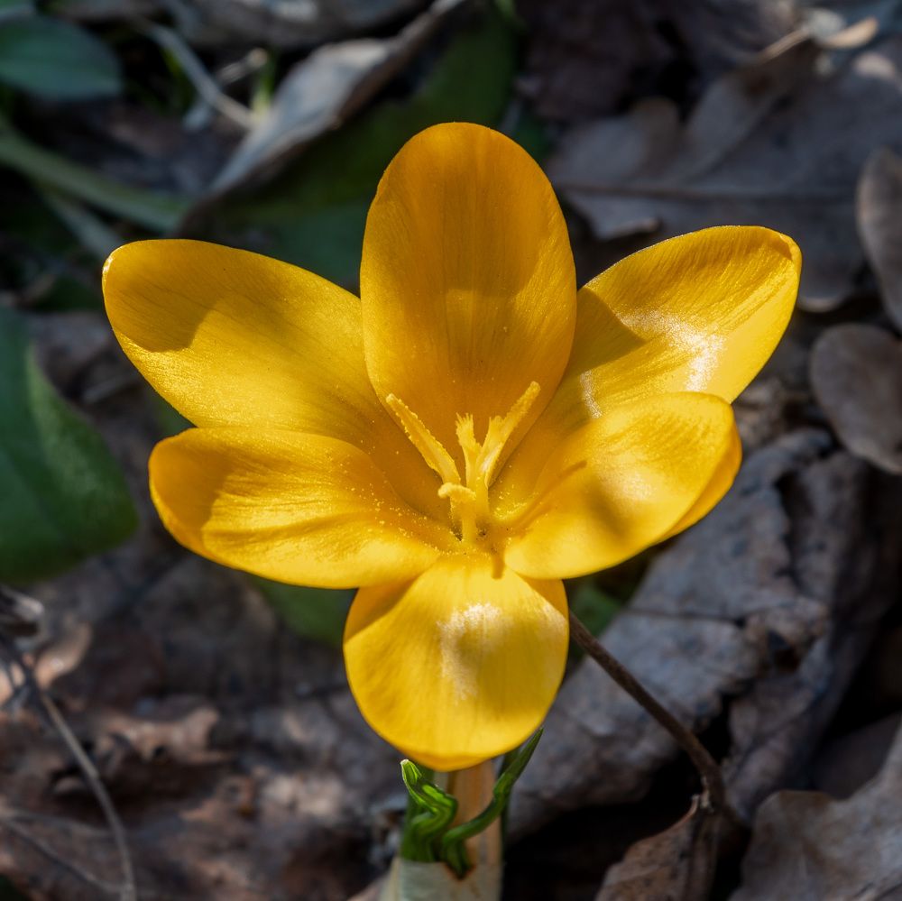 Photograph by Валерий Петухов