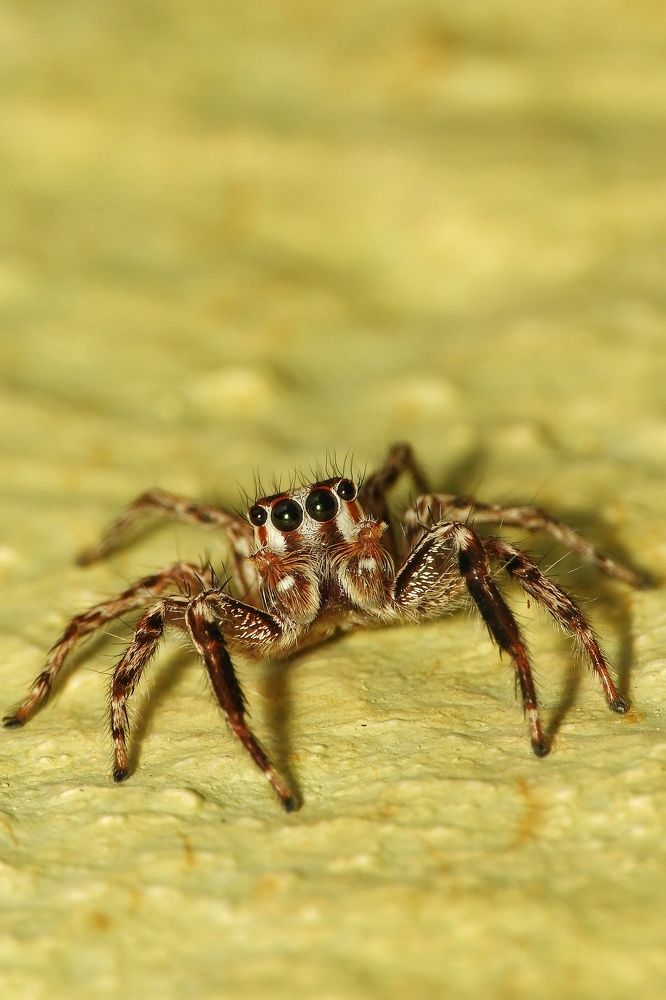 Фотография автора Bharat Ravat