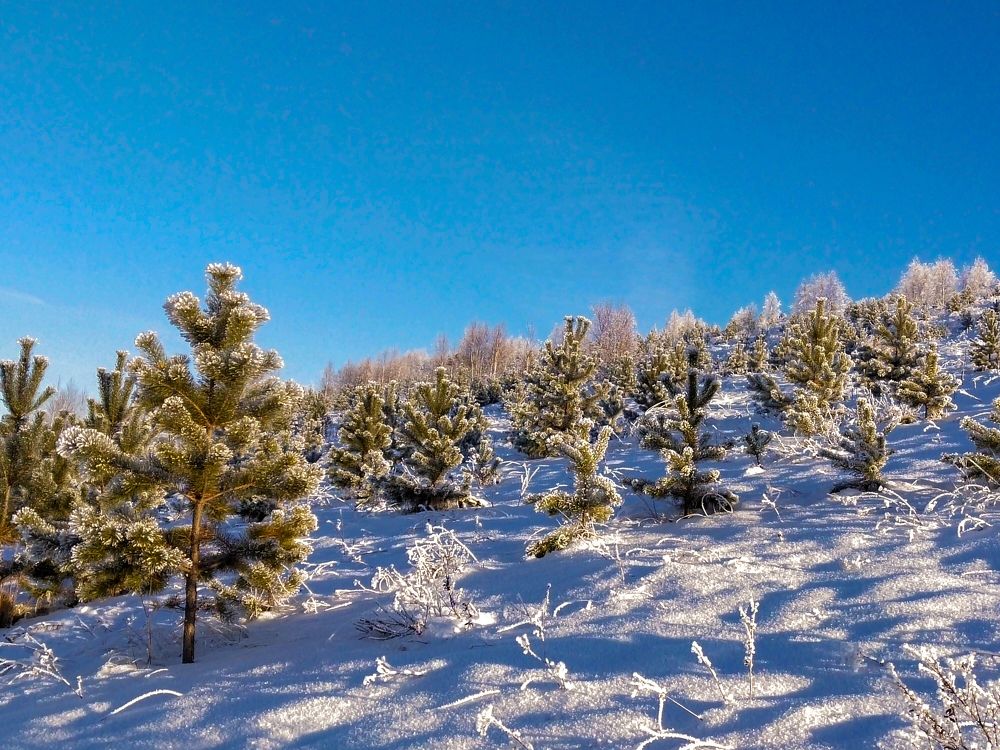 Photograph by Александра Лукашевич