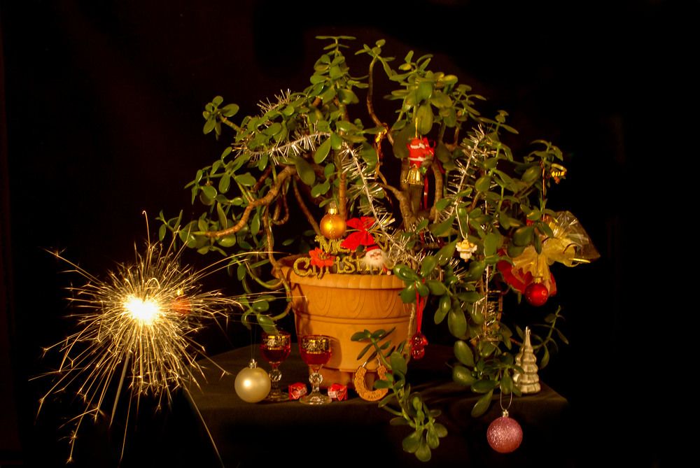 Гирлянд стеклянных хоровод искрится