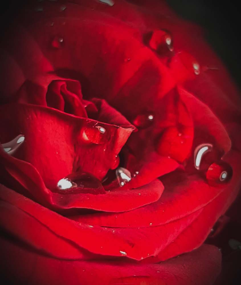 Photograph by Ольга