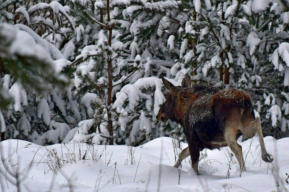 Photograph by 