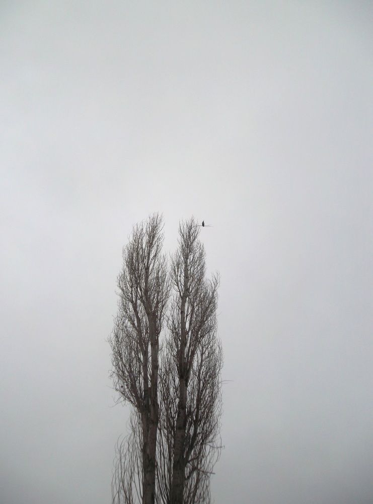 Photograph by Olga Vatkova