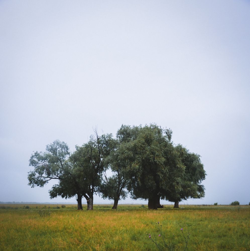 Photograph by Юрий Шмидт