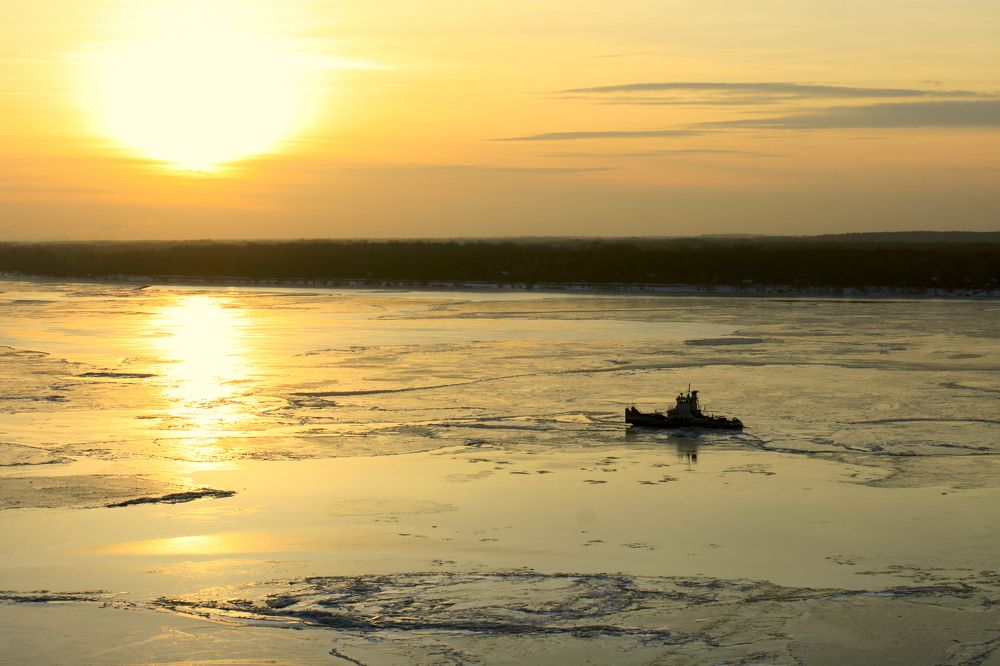 Фотография автора Татьяна Шебаршенко