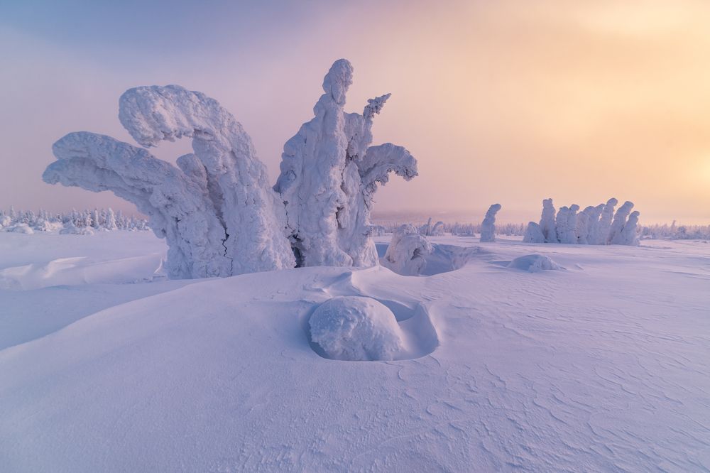 Photograph by Евгений Антонов