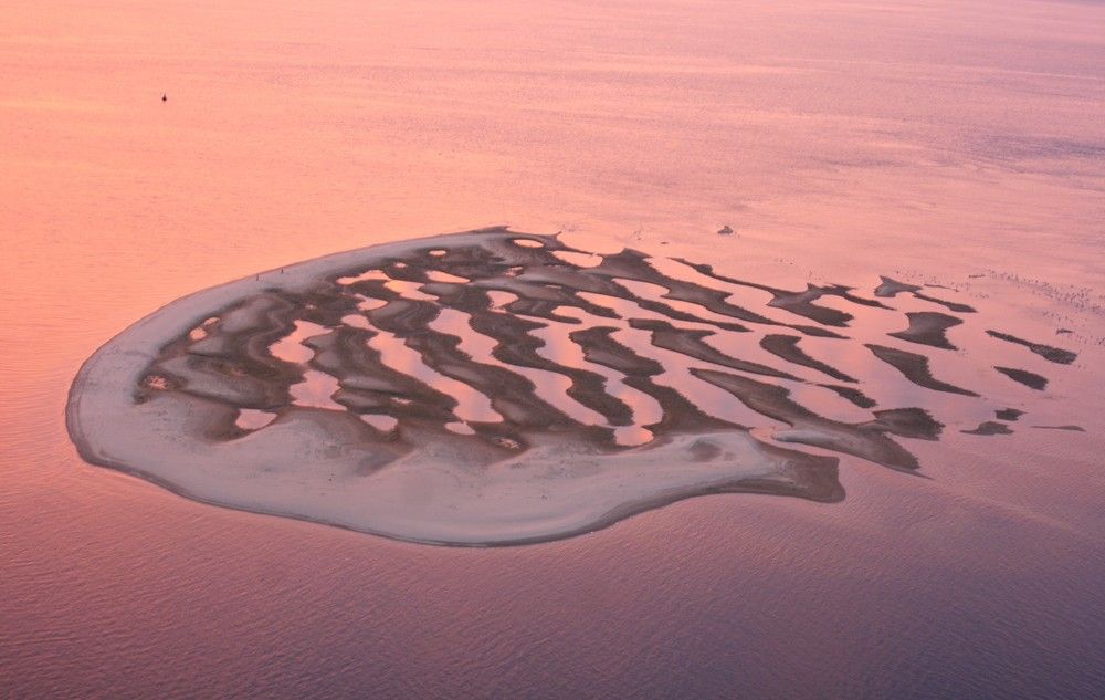 Фотография автора Татьяна Шебаршенко