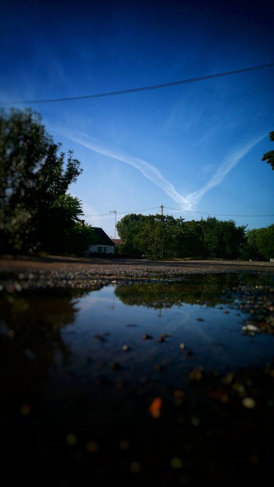 Photograph by Alexey Berger