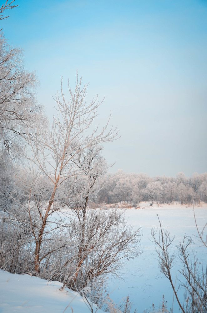 Photograph by Юрий Шмидт