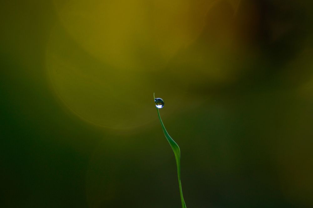 Photograph by Сергей Черкасов