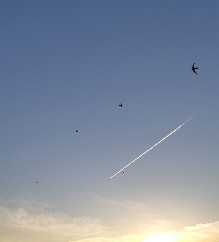 Фотография автора Ирина Лукьянчик