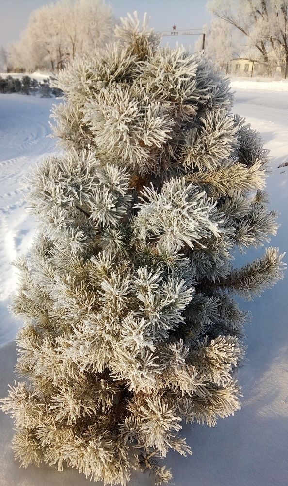 Photograph by Павел Дорогин