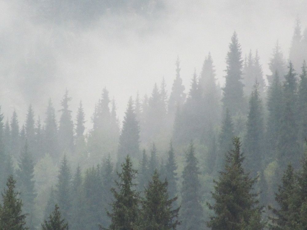 Photo #7069017