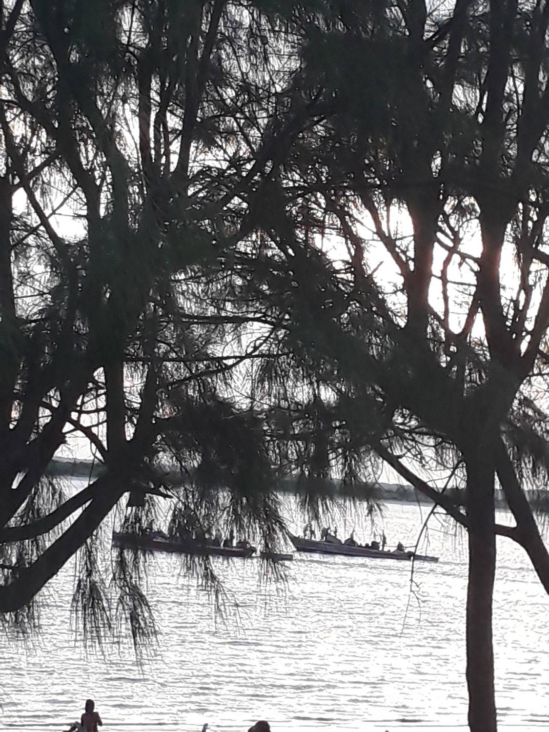 Photo #7069070