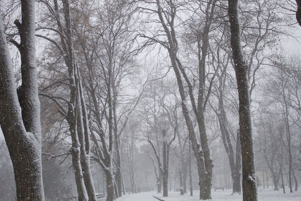 Photograph by Лина Ахмедова