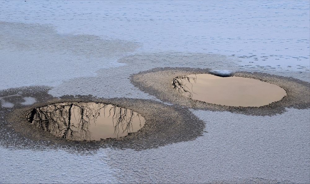 Photograph by Ольга