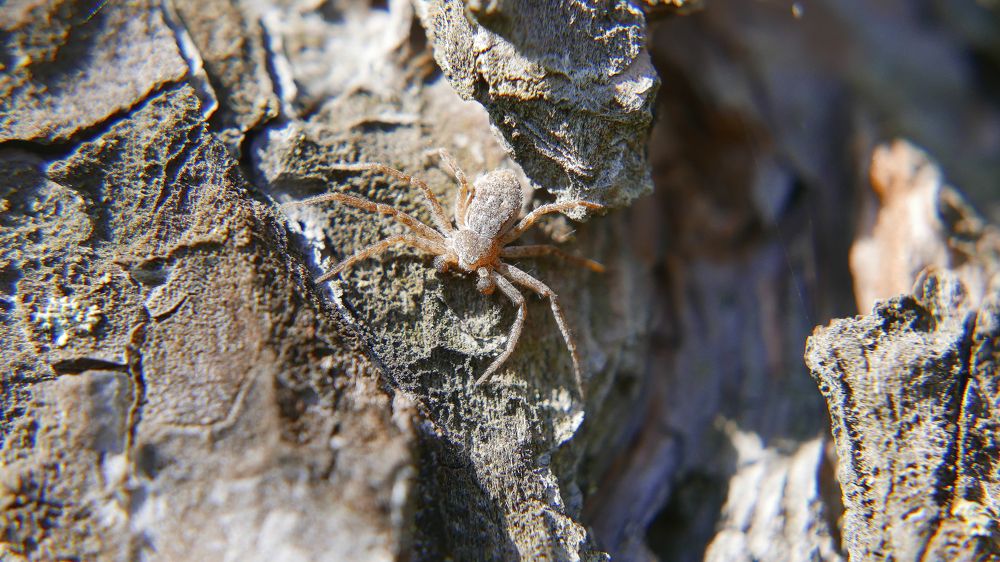 Photograph by Алексей Чернов