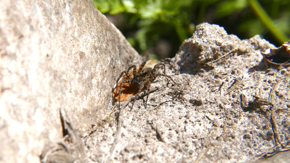 Photograph by Алексей Чернов