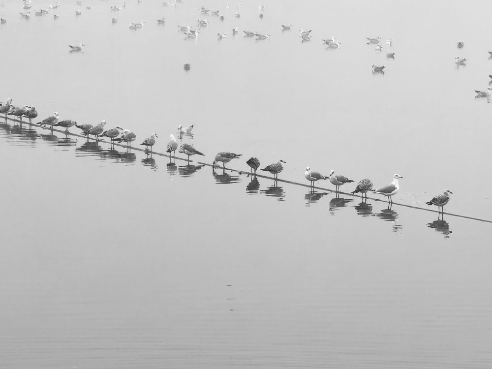 Photograph by Domagoj Sever