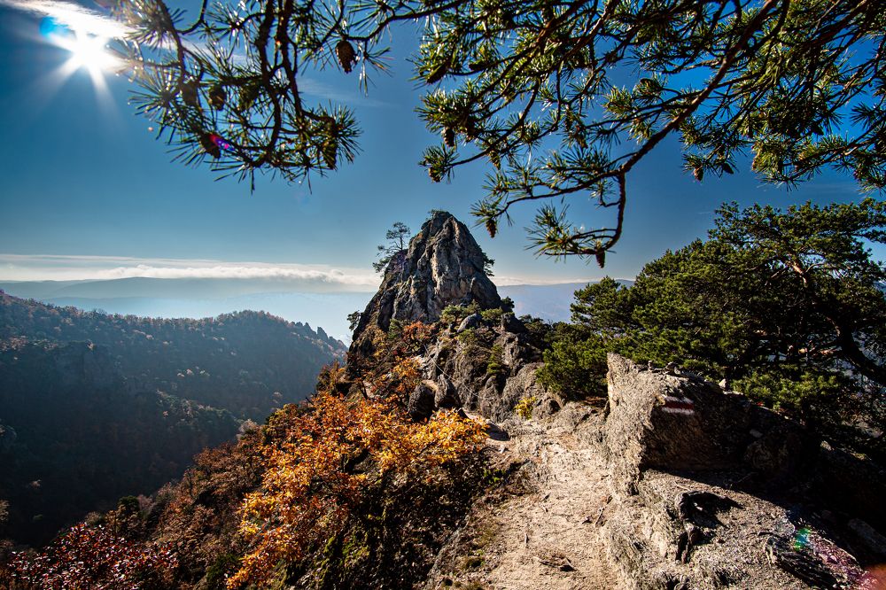 Photograph by Samuel Magnús