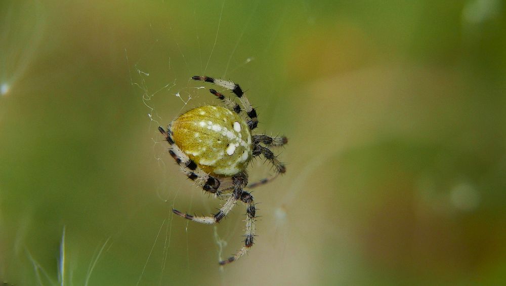 Photograph by Алексей Чернов