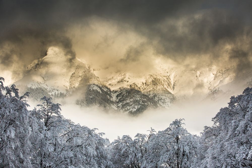 Photograph by ATTILA SZABO