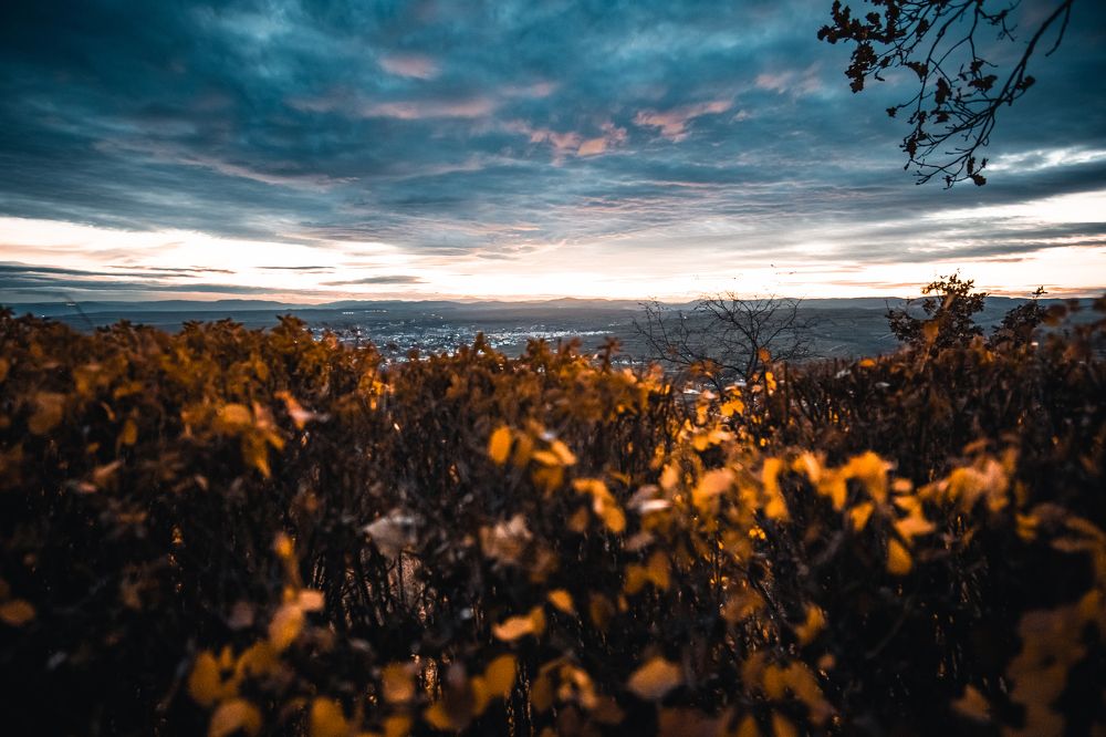 Photograph by Samuel Magnús