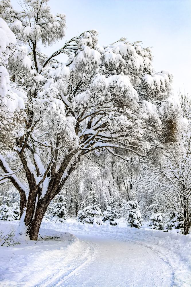 Photograph by Katrin Antares