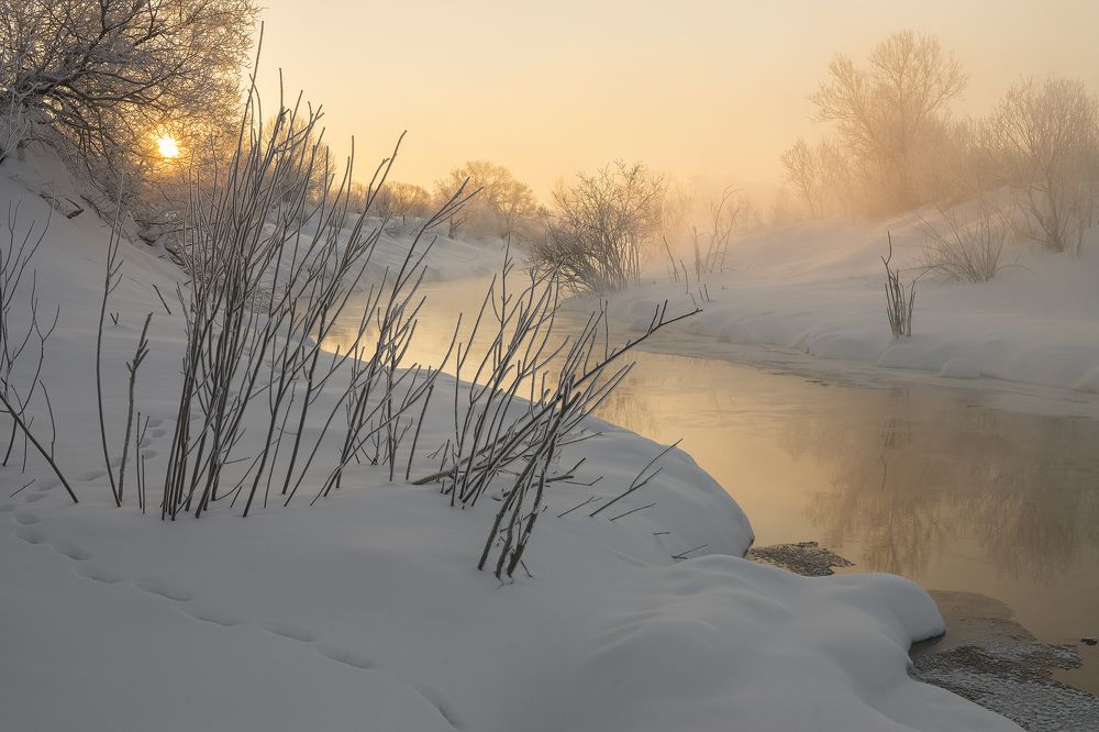 Photograph by Алексей Александрович