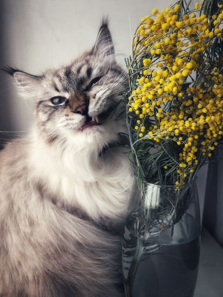 Photograph by Римма Большакова