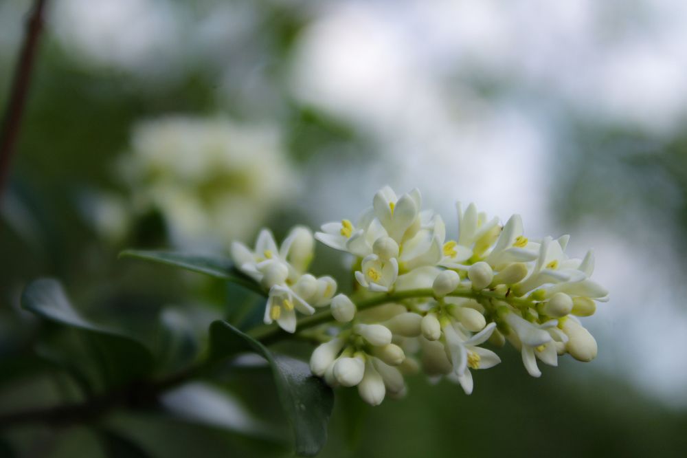 Photograph by Инна