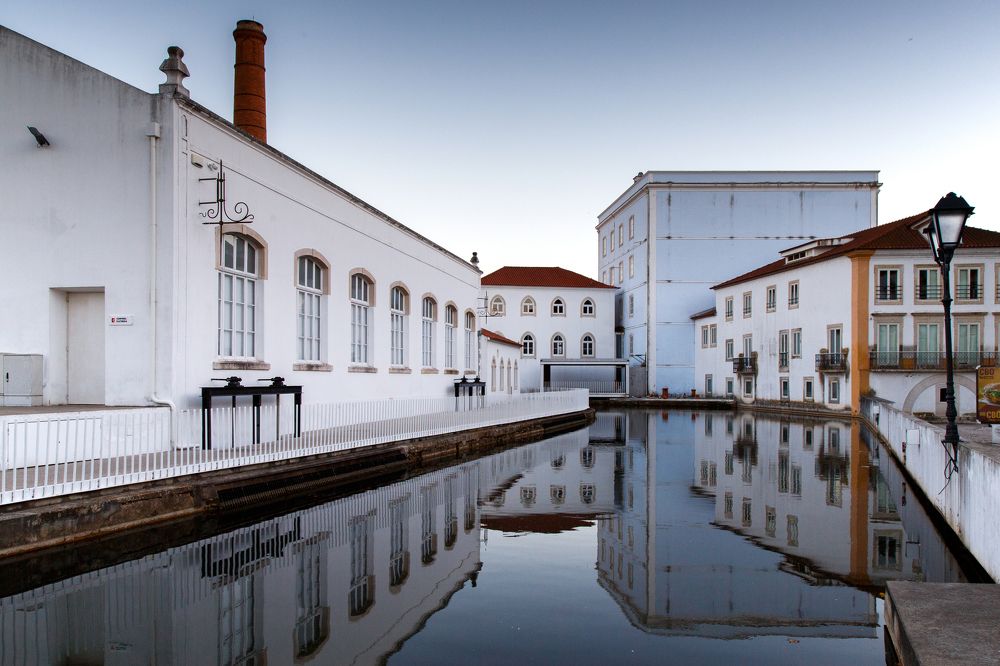 Photograph by Lorenzo Perotti