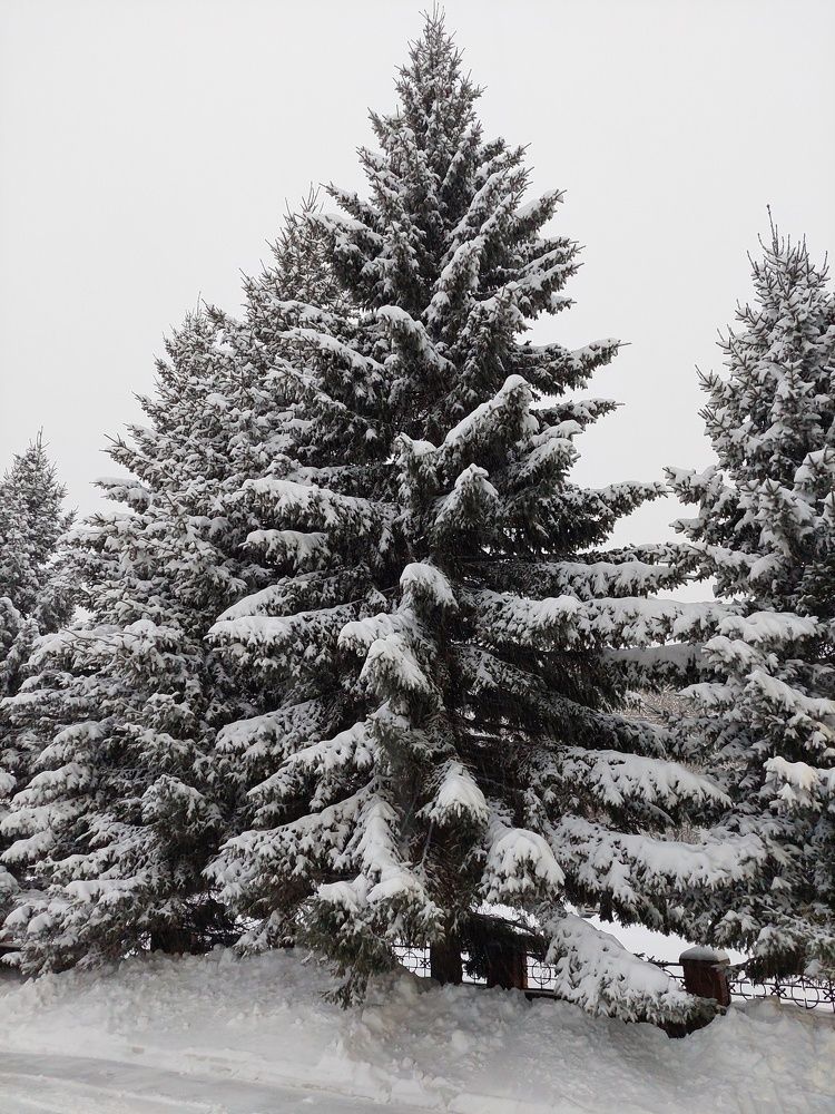 Photograph by Андрей Юденков