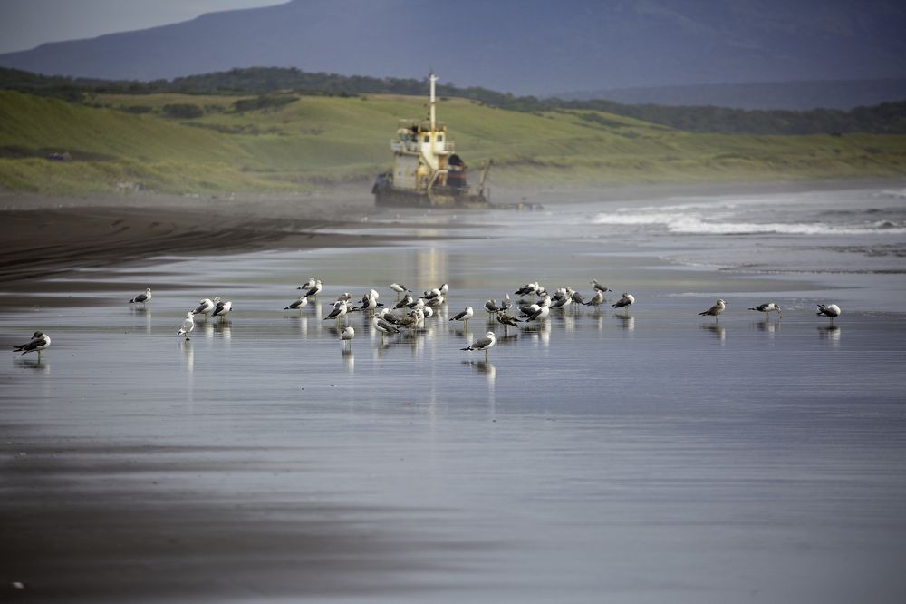 Остров Итуруп, Курилы, Россия