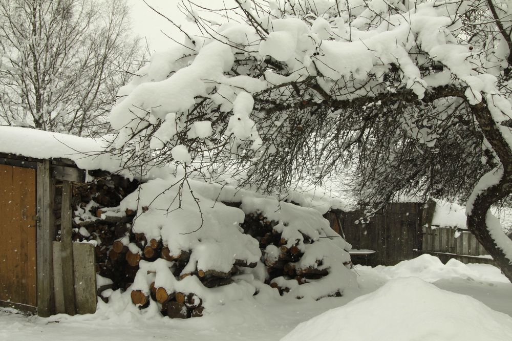 Photograph by Viktors Giršsons