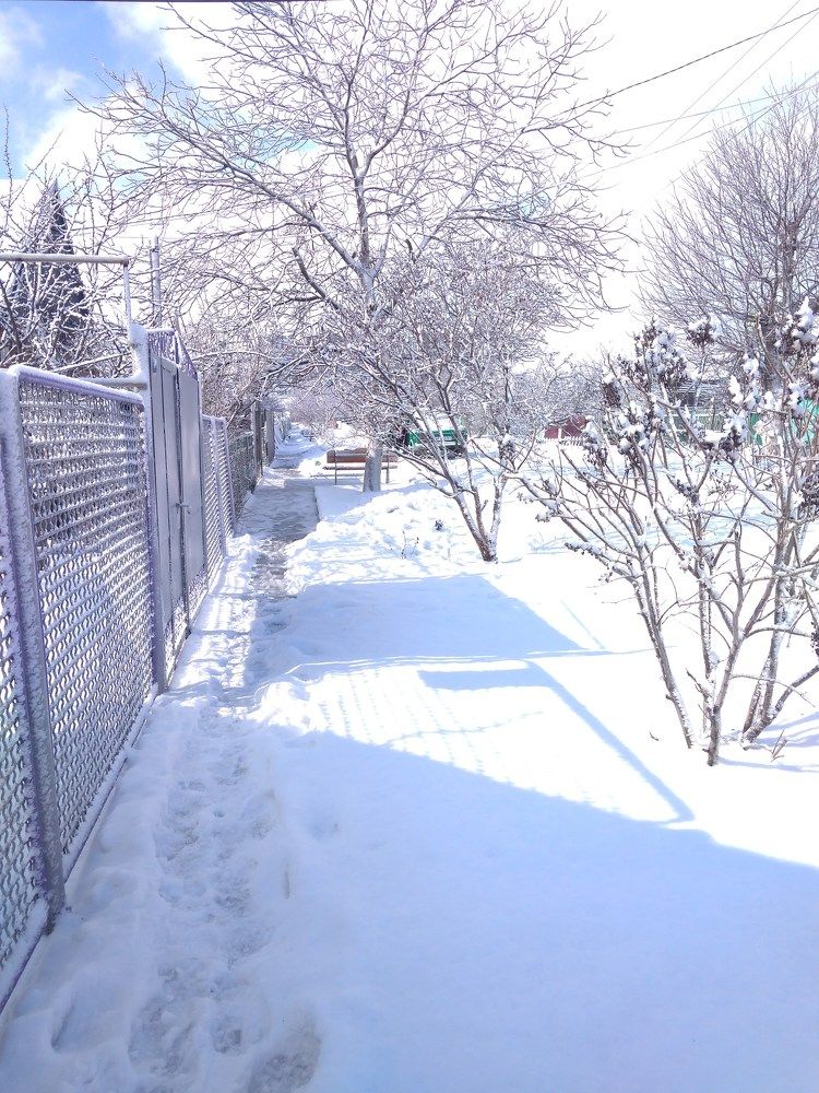 Photograph by Litvinova Ann