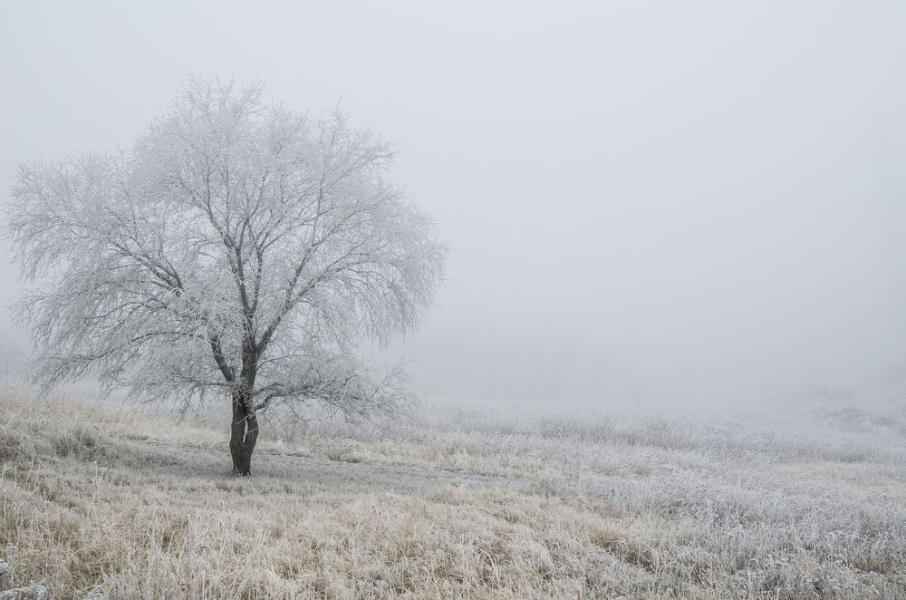 Фотография автора Vladislav Shilo