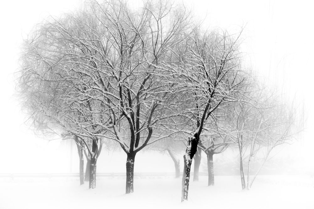 Фотография автора payman Mollaie