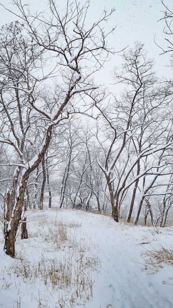 Photograph by Инна