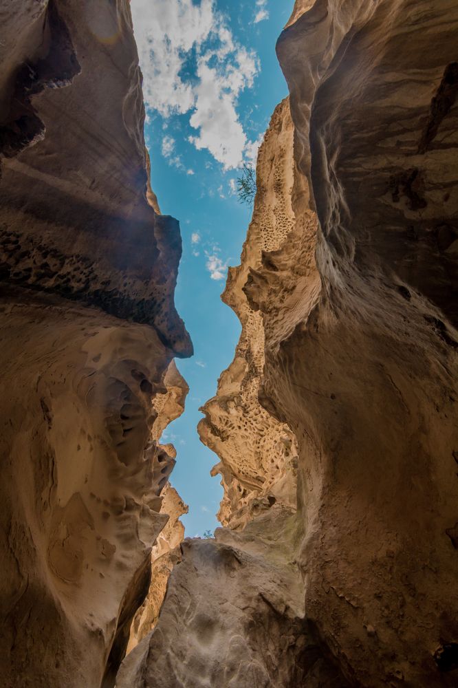 Photograph by Юлия Подлеснова