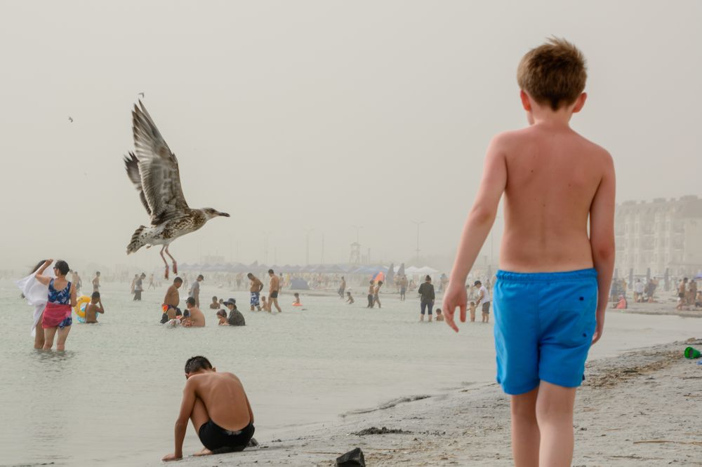 Photograph by Юлия Подлеснова