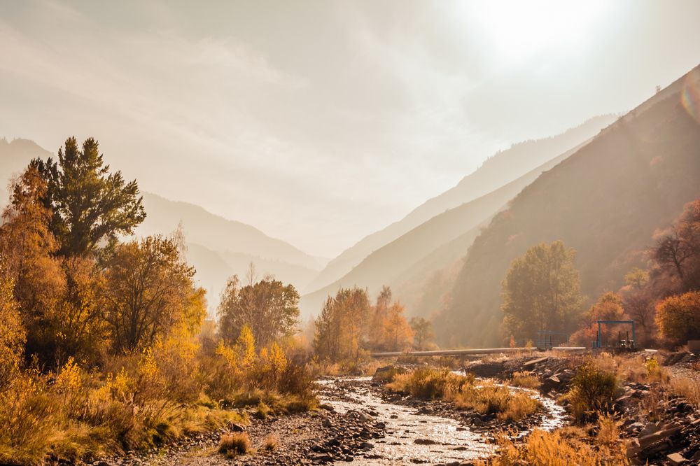 Photograph by Юлия Подлеснова