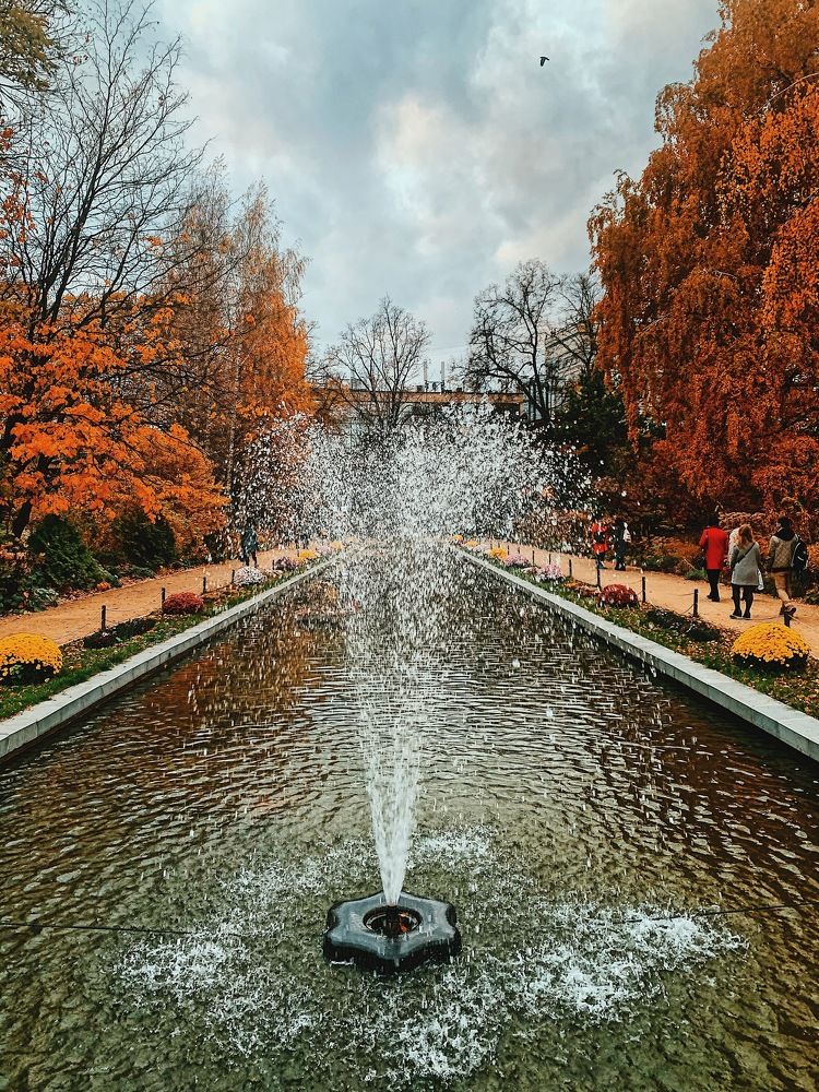 Фотография автора Сычкова Евгения