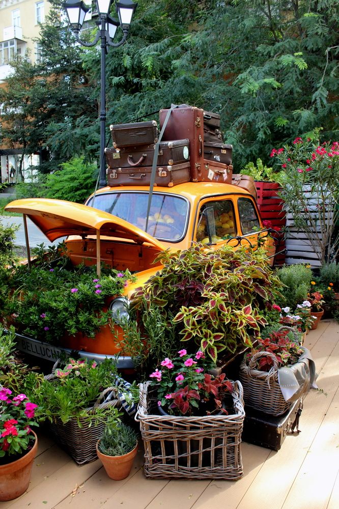 Photograph by Елена Кузнецова