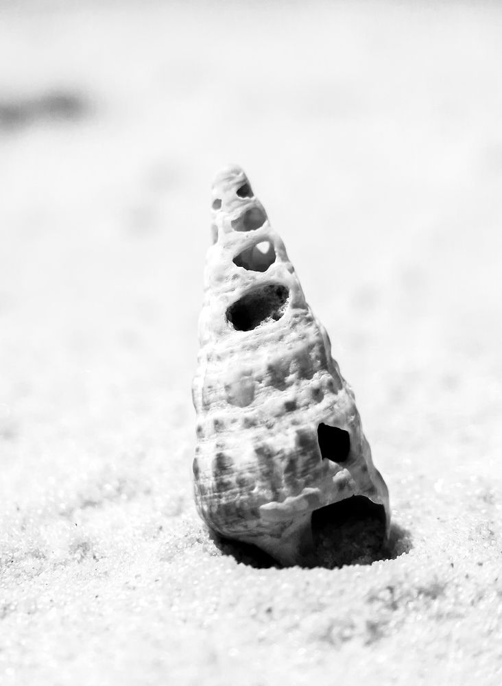 Photograph by Юлия Быкова