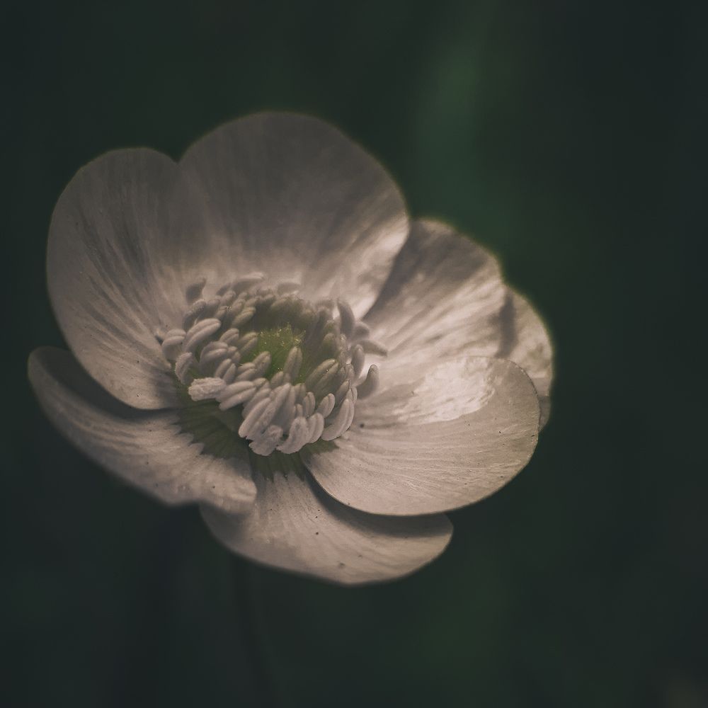 Photograph by Юлия Быкова