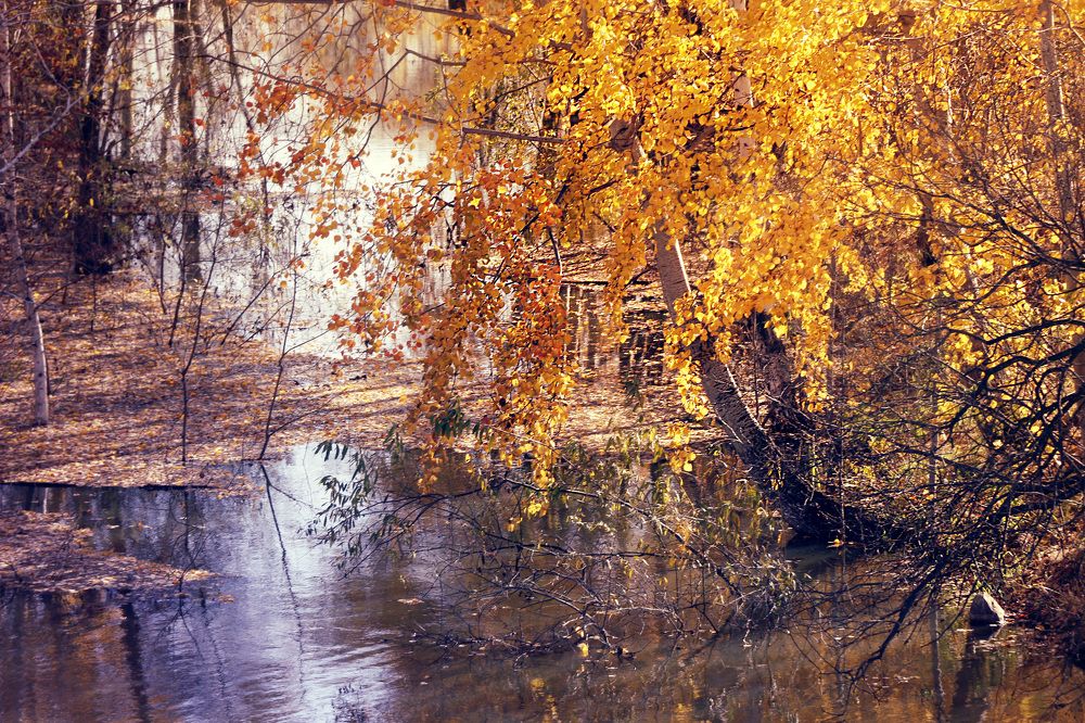 Photograph by Svetlana Victorovna Kibyakova